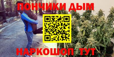 прущие грибы Рузаевка