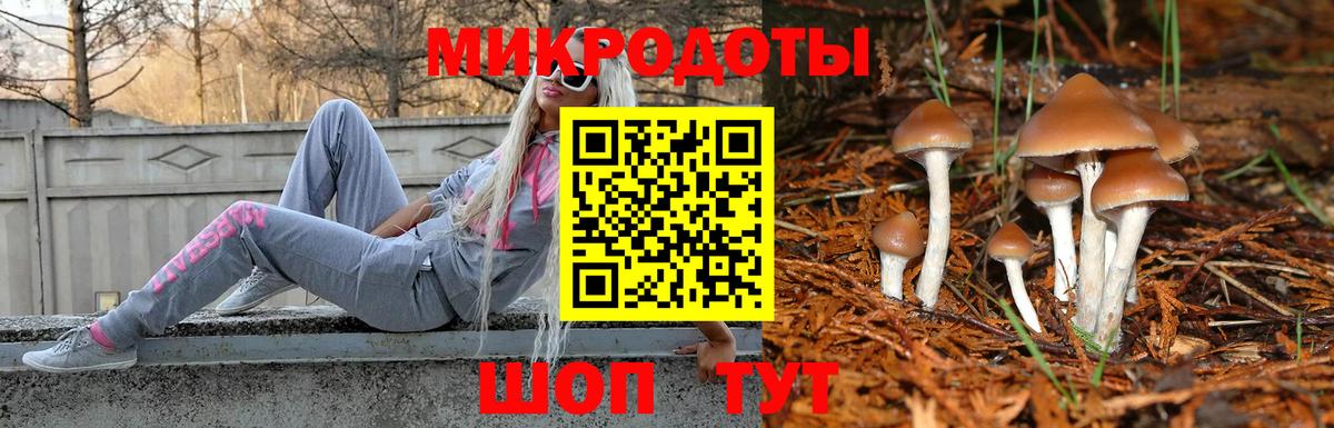 Пушкино  Галлюциногенные грибы Cubensis  купить  цена  Вход с VPN 